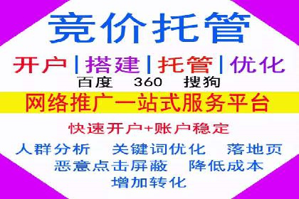 某某SEM服务公司成功案例：从数据出发的营销策略